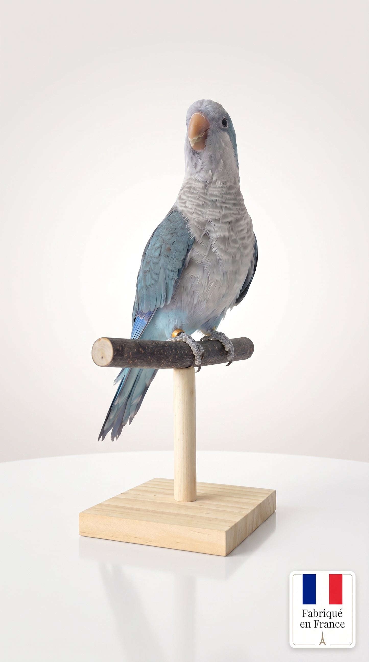 Perchoir en T pour Perroquet en Bois Naturel — Ara, Calopsitte, Gris d’Afrique