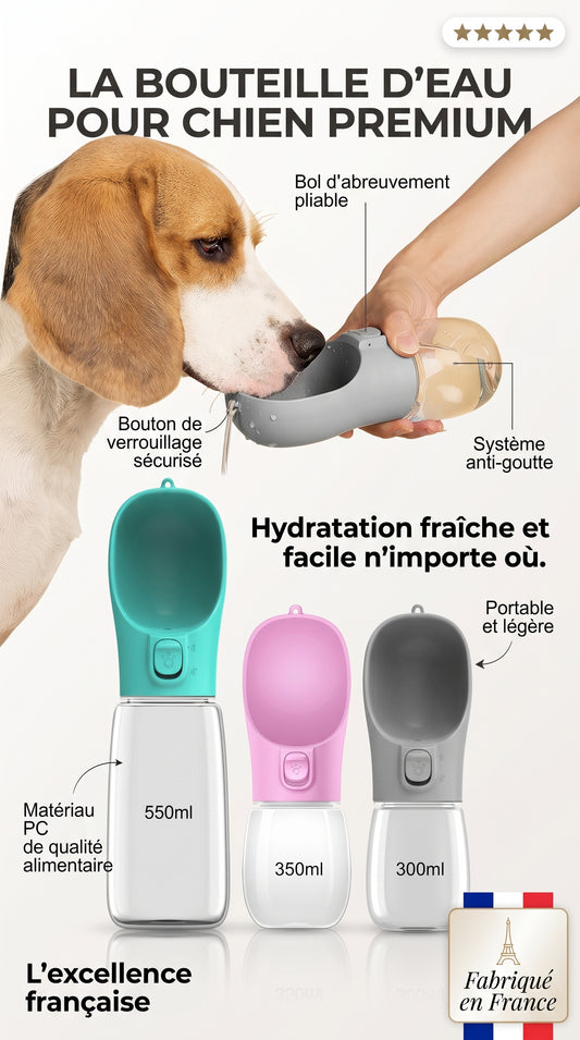 Bouteille d'Eau Portable Chien Chat – Anti-Fuite 300/350/550ml