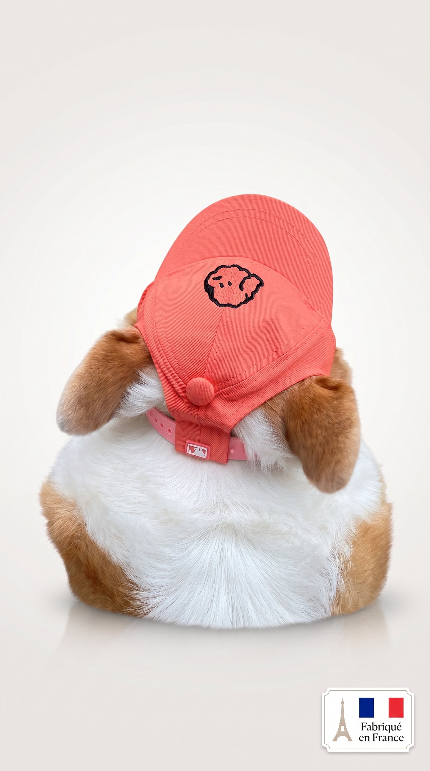 Casquette Baseball Chien Chat – Protection Solaire Style Coréen