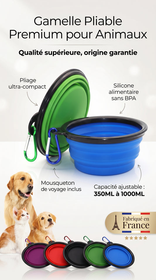 Bol Pliable Silicone Chien Chat – Gamelle Portable avec Mousqueton