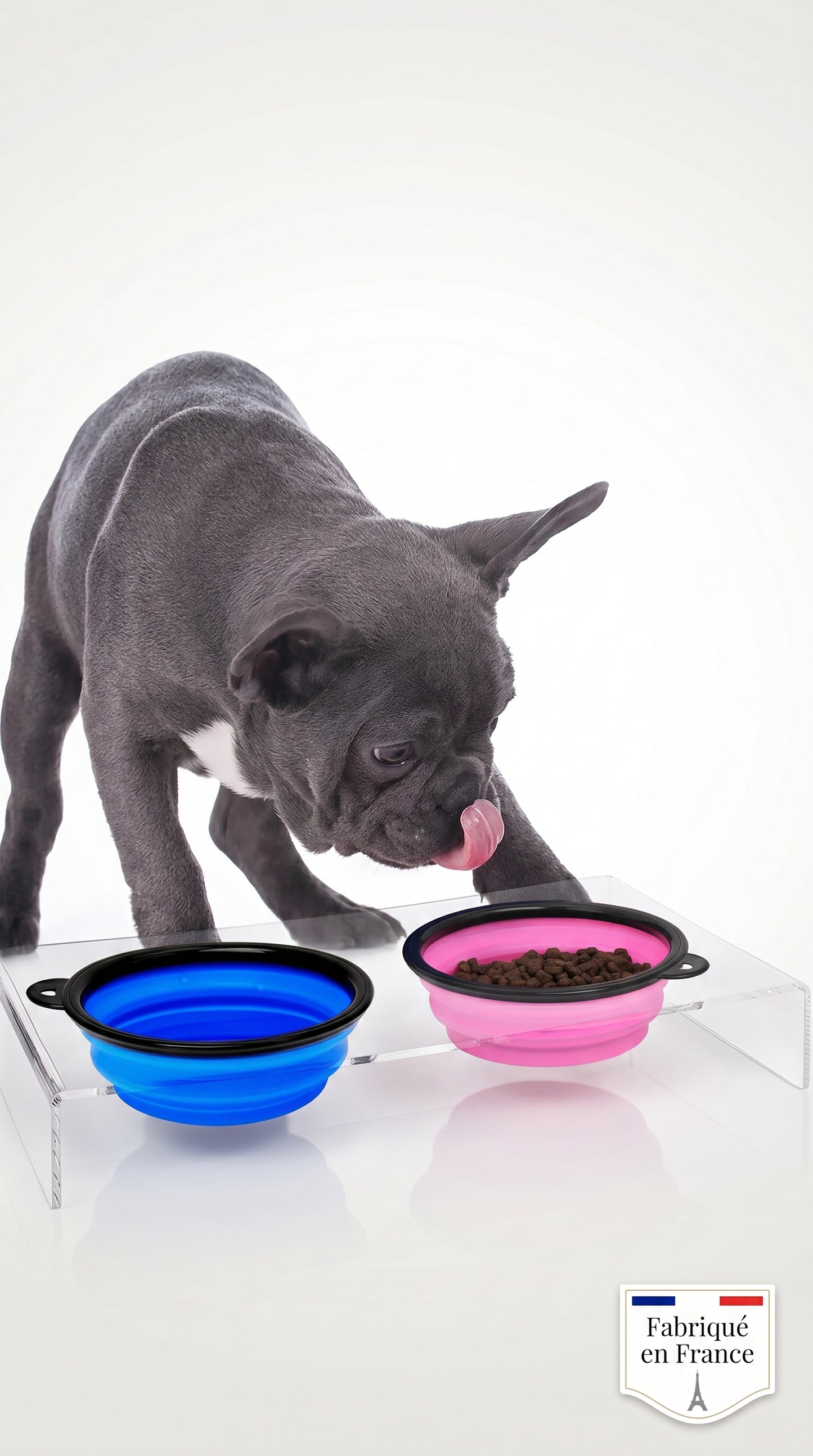Bol Pliable Silicone Chien Chat – Gamelle Portable avec Mousqueton