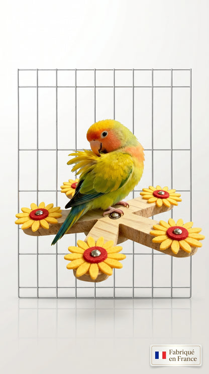 Jouet Interactif pour Perroquet — Distributeur Rotatif de Friandises, Stimulation Mentale