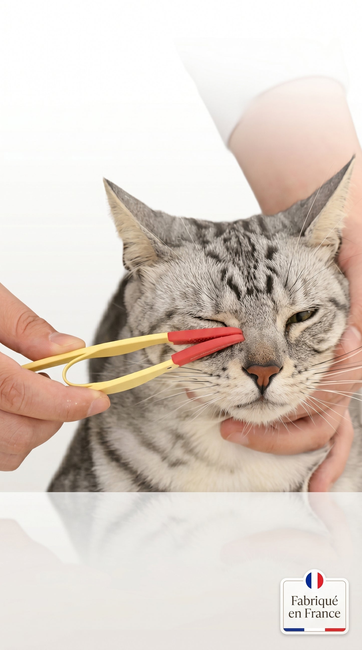 Peigne Anti-Taches Yeux Chien Chat – Brosse Douce Toilettage
