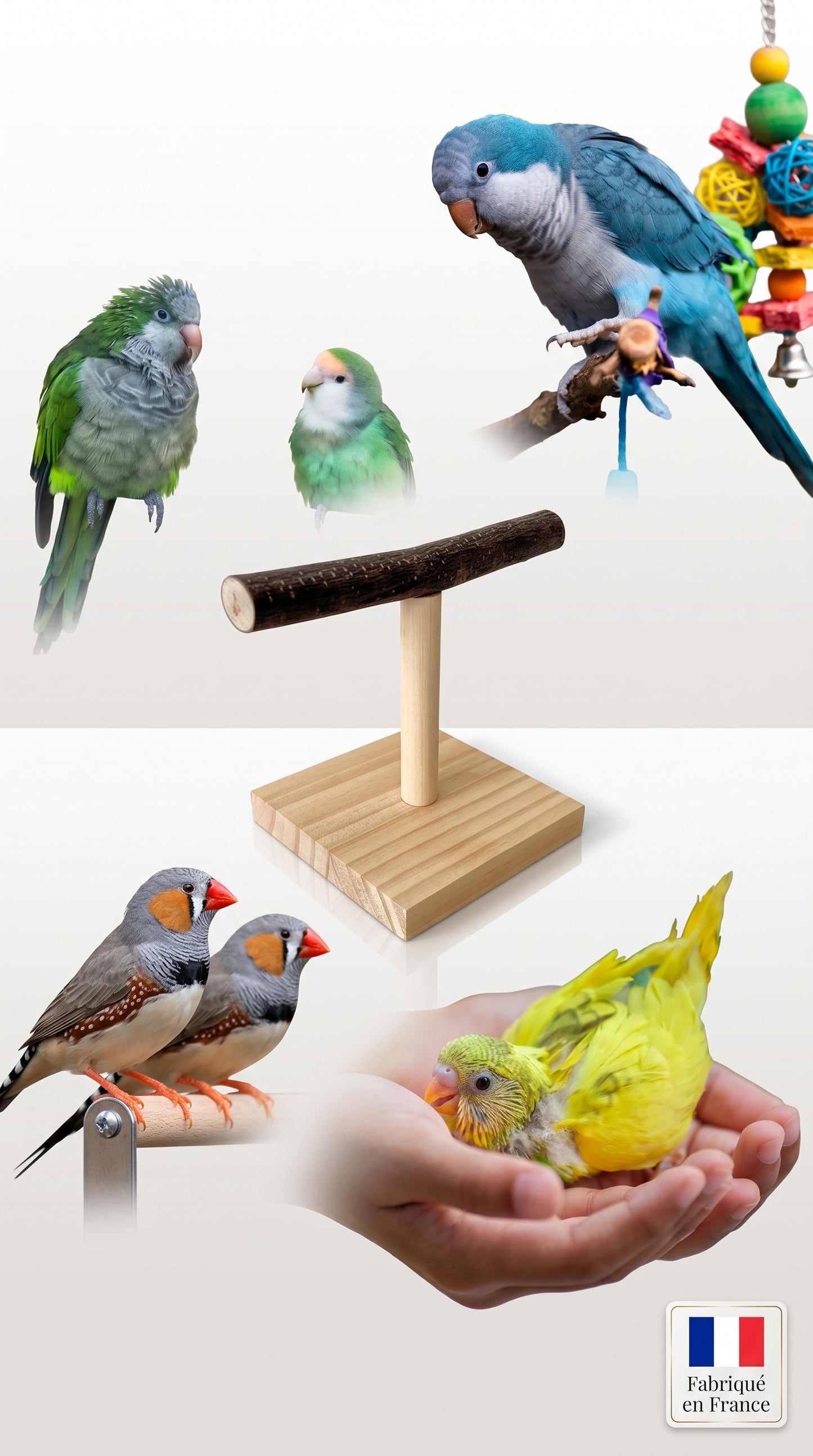 Perchoir en T pour Perroquet en Bois Naturel — Ara, Calopsitte, Gris d’Afrique