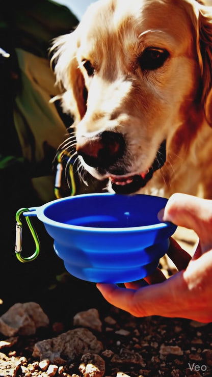 Bol Pliable Silicone Chien Chat – Gamelle Portable avec Mousqueton